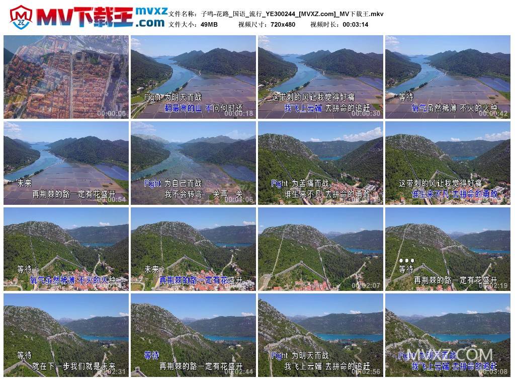 子鸣-花路_国语_流行_YE300244